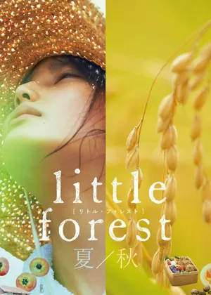 Little forest: summer/autumn